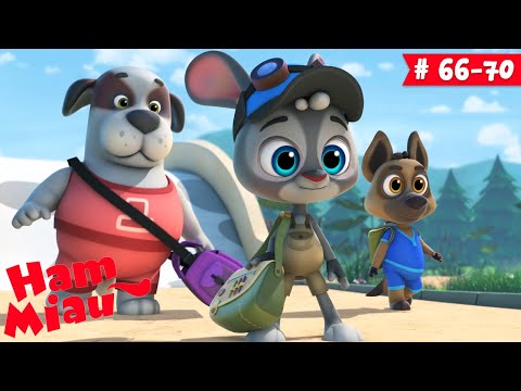 Ham Miau 🐶 ep. 66-70 🐱 Desene pentru copii - HeyKids