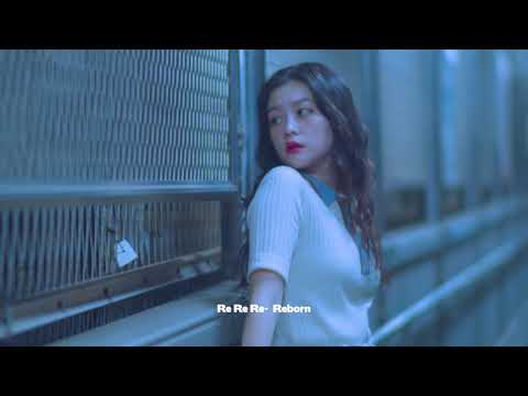 Risso(리소) - 사랑을 하자(Let's Fall in Love)  [Official Video]