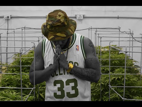 GRAMZ VANGUNDY - (BLACK ROB)