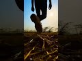 Ek Mutho Shopno Cheye Hat Bariye Chilam Bengali Sad Song Status Bengali Heart Touching Status