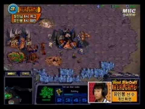 1st person About Starcraft AMD_Nam (Z) vs (T) on The Lost Temple [part 1]