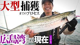 【サワラ/広島湾】ブレードジギング発祥の地で、大型捕獲 中島成典/遊漁船 海神