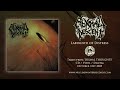 ABYSMAL DESCENT 'Labyrinth of Distress' (ADVANCE TRACK)