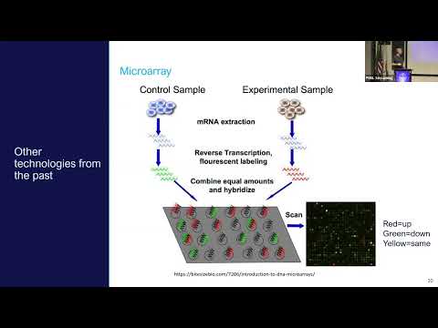 Express Yourself! Transcriptomics from sample to counts | 2023 EMSL Summer School, Day 4