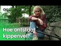Hoe ontstaat kippenvel? | Vragen van Kinderen