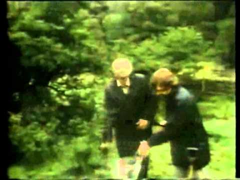 It'll Be Alright On The Night - That's Torn It