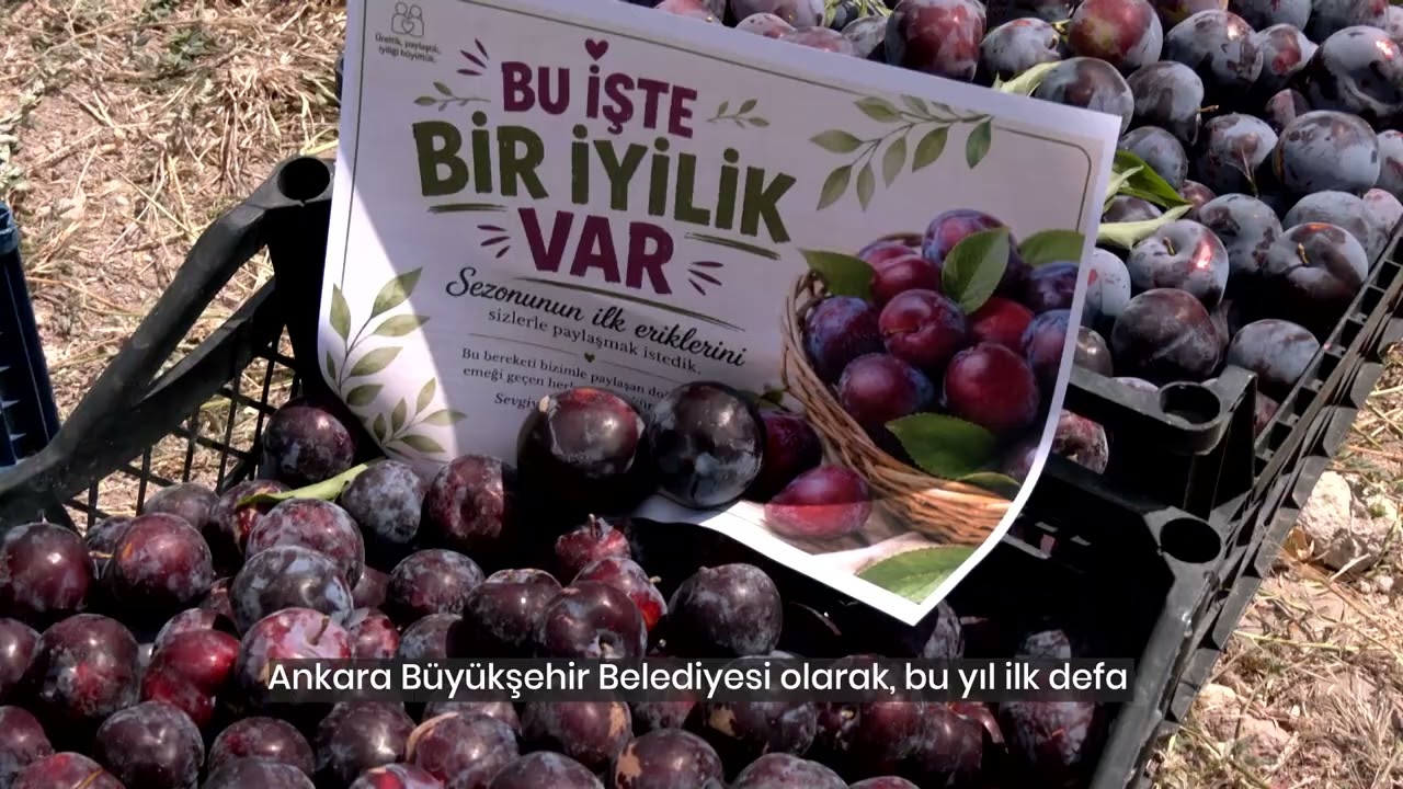 EKOSİSTEMİ KORUMAK ADINA 600 KEKLİK VE BILDIRCINI DOĞA İLE BULUŞTURDUK