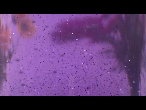 Calming Bottle in a Video — the Glitterfall