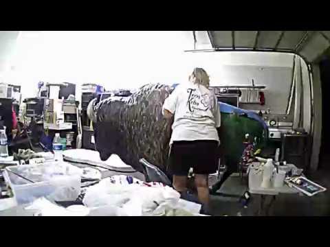 Bison Painting Timelapse