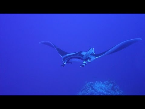 Wadi Lahami, 2 to 4 August 2014