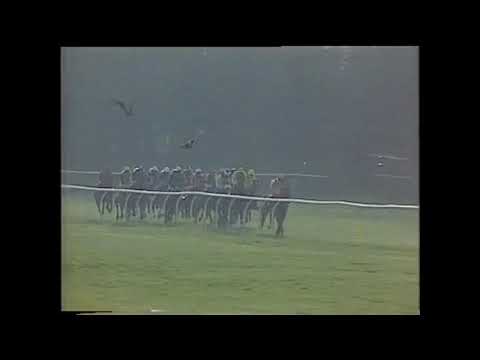 1991 Queens Prize Handicap Kempton