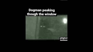 Dogman Encounter￼