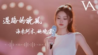 Download lagu 過路的晚風 - 海來阿木，姚曉棠『我想問問天上的月亮，你是否擁有哀愁』 mp3