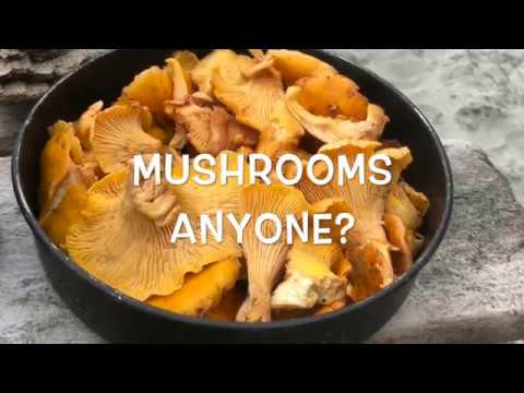 North Coast Trail - Day 3