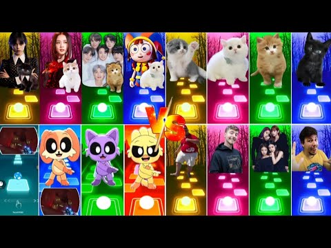 📹 ALL CUTE CATS PT.5 - IMAGINE DRAGONS ENEMY - JISOO FLOWER   SHAKIRA WAKA WAKA - LISA MONEY