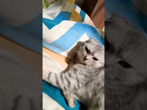 11 апреля 2024 г.