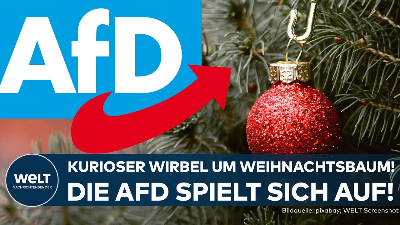 EKLAT IM LANDTAG DÜSSELDORF: Wirbel um Weihnachtsbaum! Die AfD spielt sich auf