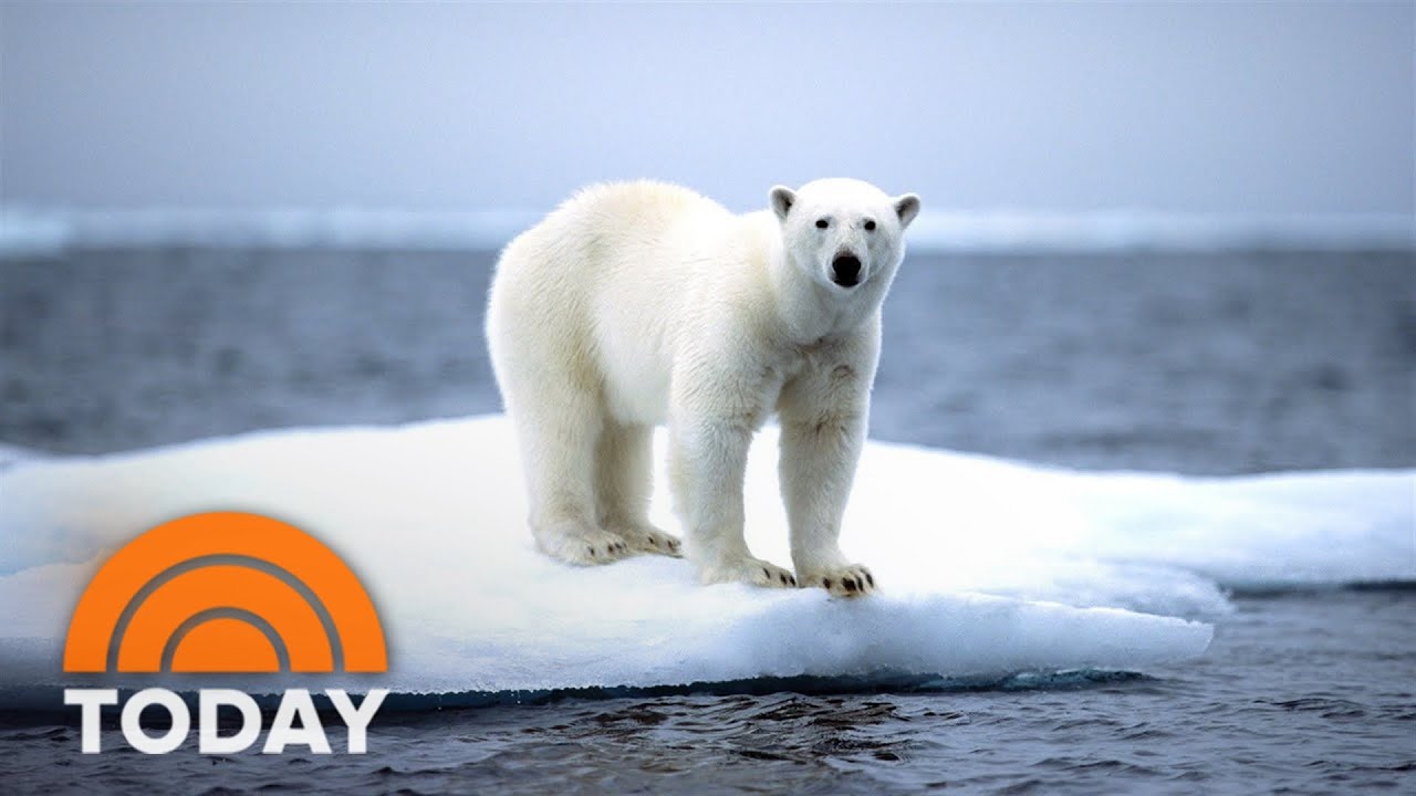 What World Leaders Are Doing To Slow Climate Change