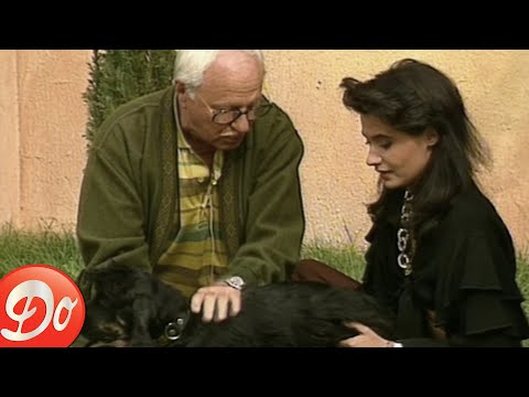 Le Dr Klein, Dorothée, Emmanuelle - Le Cocker Américain | Extrait  du Club Dorothée 5 septembre 1990