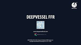 DEEPVESSEL FFR