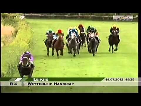 RaceBets com   Enjoy racing online   Horse betting