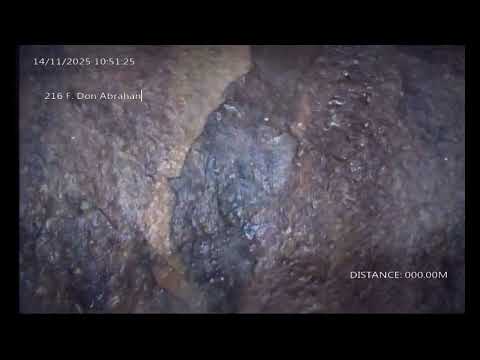 Extracto 216 - 9 De Julio - San Juan