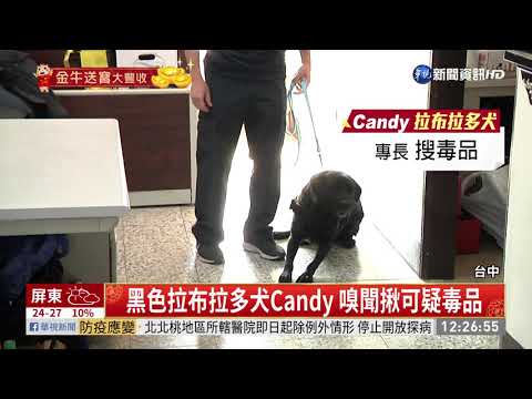 台中K9警犬隊萌翻 偵爆.緝毒衝第一