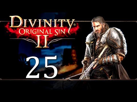 Let's Play Divinity Original Sin 2 - Part 25: Driftwood Remembers Ifan