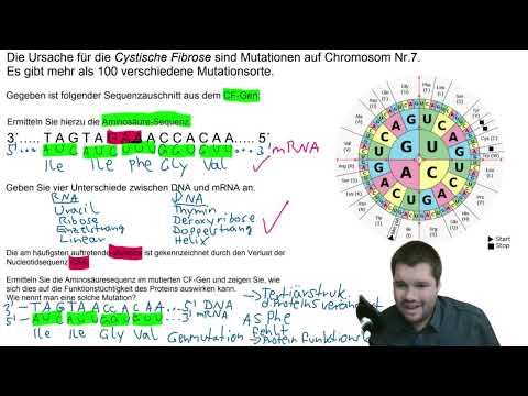 ABI-TRAINING - Genetik (2): Transkription, Translation, Unterschied zwischen DNA & RNA, Mutationen