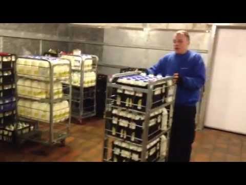 Sophie Sulehria delivers milk in Milton Keynes.