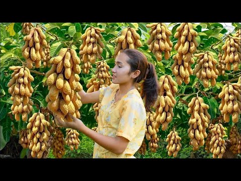 Harvesting Peanuts from Garden 🥜 | Selling Fresh at the Countryside Village Market
