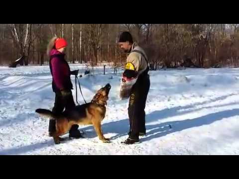 Duke vom Wolkenstein