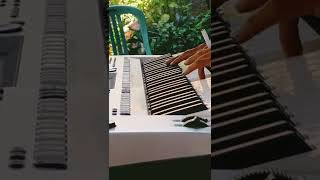 Download lagu Yamaha psr s900 non sampling & non gendang wa.me/6281333308033 siap COD sejabodetabek di rumah mp3