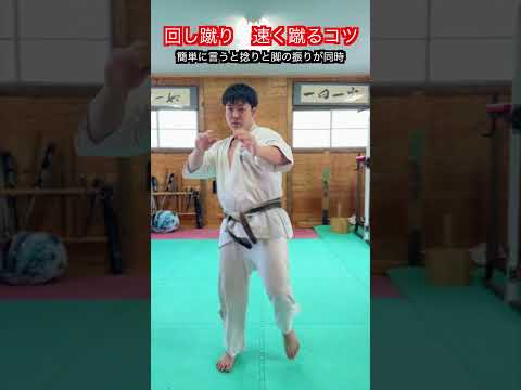 【武道・格闘技】回し蹴りを速く蹴るためのコツ　解説！！　#aikido ＃karate #martial #武道 #空手＃合気道＃筋トレ#selfdefens