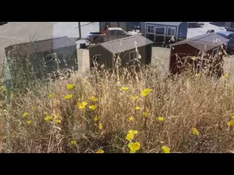 Marysville 14Forward