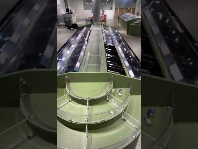 802492 Candy Store Decor (New Photos)