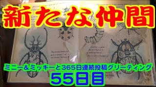 ミニー＆ミッキーと365日連続投稿グリーティング55日目〜新たな仲間〜
