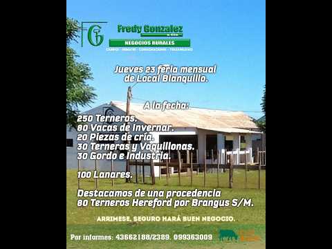 23/4/2026 Blanquillo - Durazno - Feria Mensual - Fredy González y Cía Ltda - Diego Prego