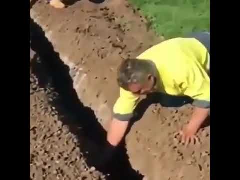 Супер эффект(23)