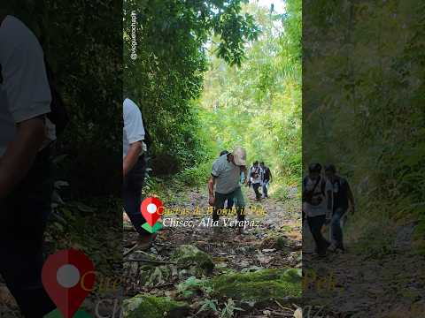 Cuevas de B'omb'il Pek en Chisec, Alta Verapaz Guatemala 🇬🇹 - Senderismo 🥾 🏞️- Rapel - Cuevas
