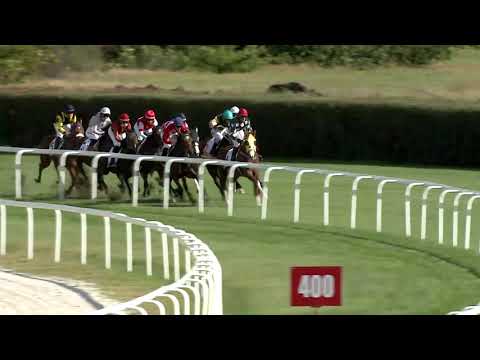 2020.10.04. 03. futam - KEZDŐ NYERETLEN KÉTÉVESEK VERSENYE (IV.kat.)