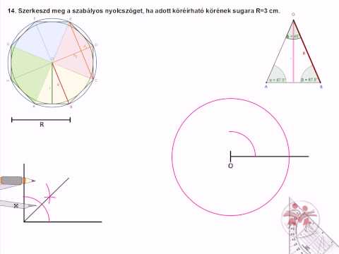 Az impotencia lehetséges szervi oka - Merevedés macskának