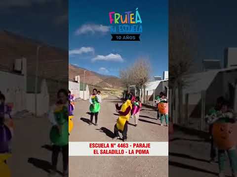 Mundial De La Fruta