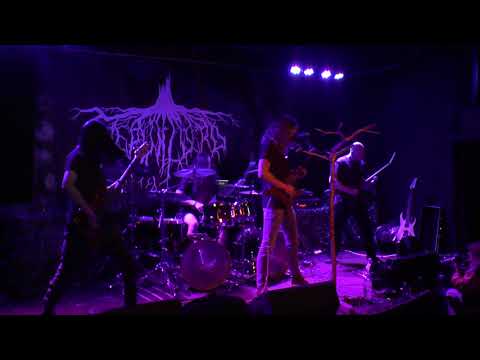 Verwilderd (BE) - 2021.09.04 - "No Life for the Weak" @ Hell Café, Diest, Belgium