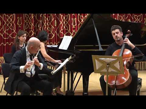 @ionbogdanstefanescu Haydn - Trio for flute, cello and piano