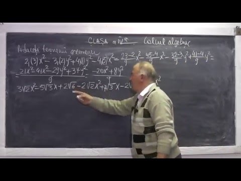 1/2 Lectia 838 Calculul algebric Radicali Termeni asemenea Rationalizarea numitorului Modulul Cls 7