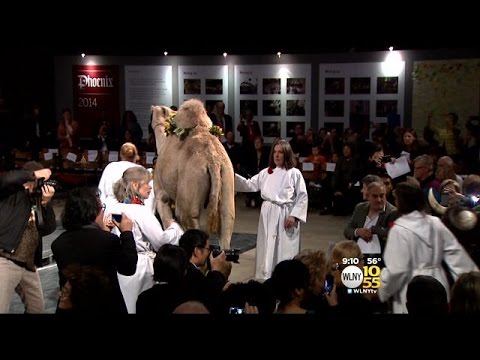 download lagu mp3 mp4 Saint John Zoo Hours, download lagu Saint John Zoo Hours gratis, unduh video klip Saint John Zoo Hours