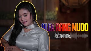 Download lagu Sonia - Alek Rang Mudo ( Remix Minang Terlaris ) mp3