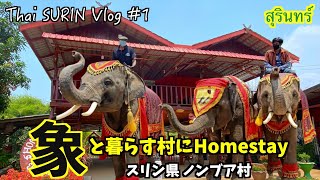 【タイVlog】象と暮らす村にホームステイでウルルン気分♪ 象の郷スリン県3泊4日の旅 Part#1
