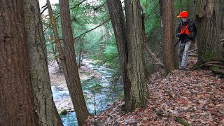 HOW TO HUNT PRESSURED DEER - HUNTING BASICS Pa Rifle Season Deer Hunting 2024 Finding Deer Best Tips